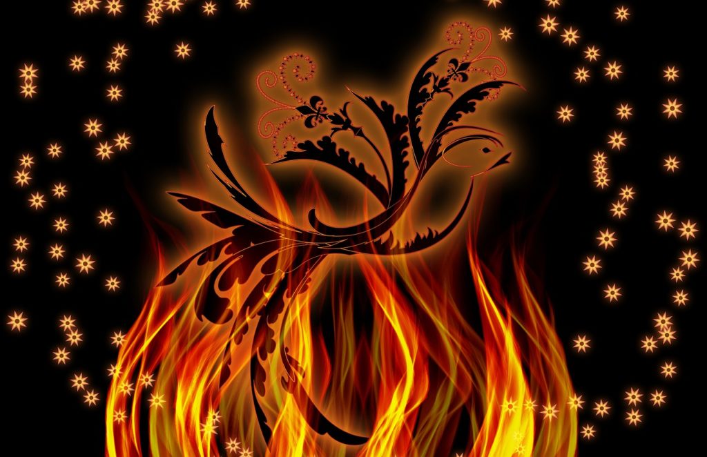 phoenix, bird, fire