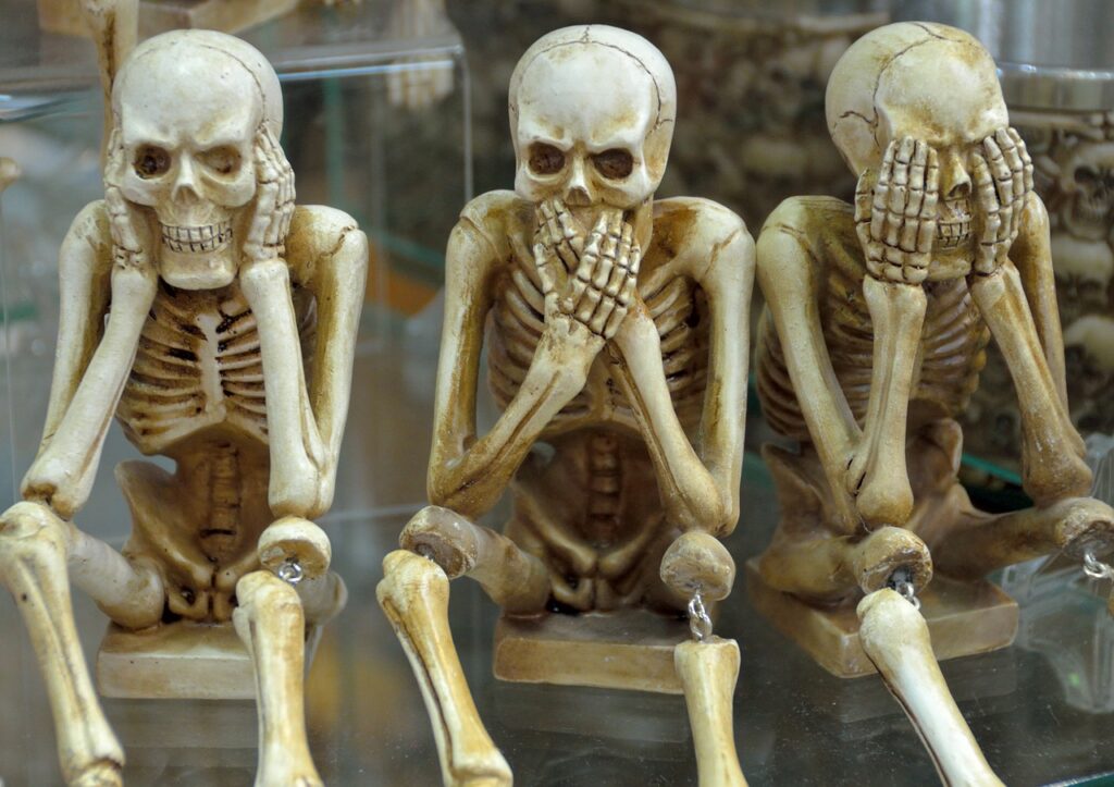 skeletons, funny, hear no evil-1617539.jpg